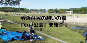 姪浜観光小戸公園